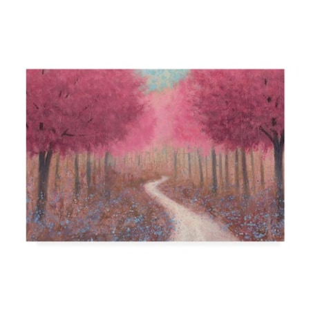 James Wiens 'Forest Pathway Spring' Canvas Art,12x19